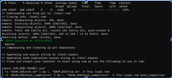 installing NVM on the server